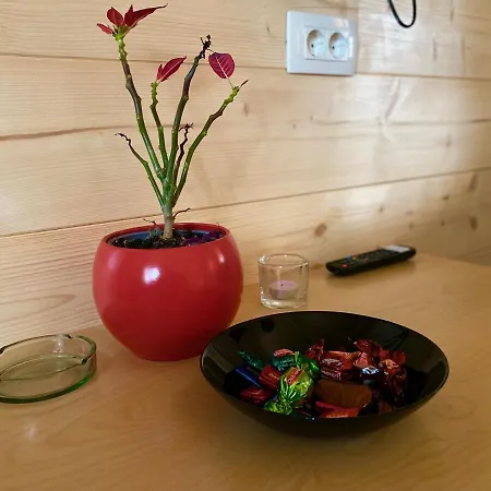 Wooden With Jacuzzi בקתה Recica ob Savinji